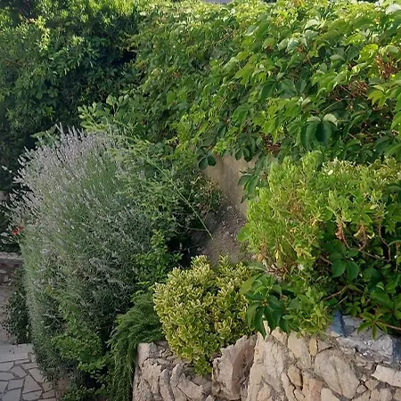 Franelic Διαμέρισμα Banjol